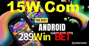 VIP Casino 289Win Bet