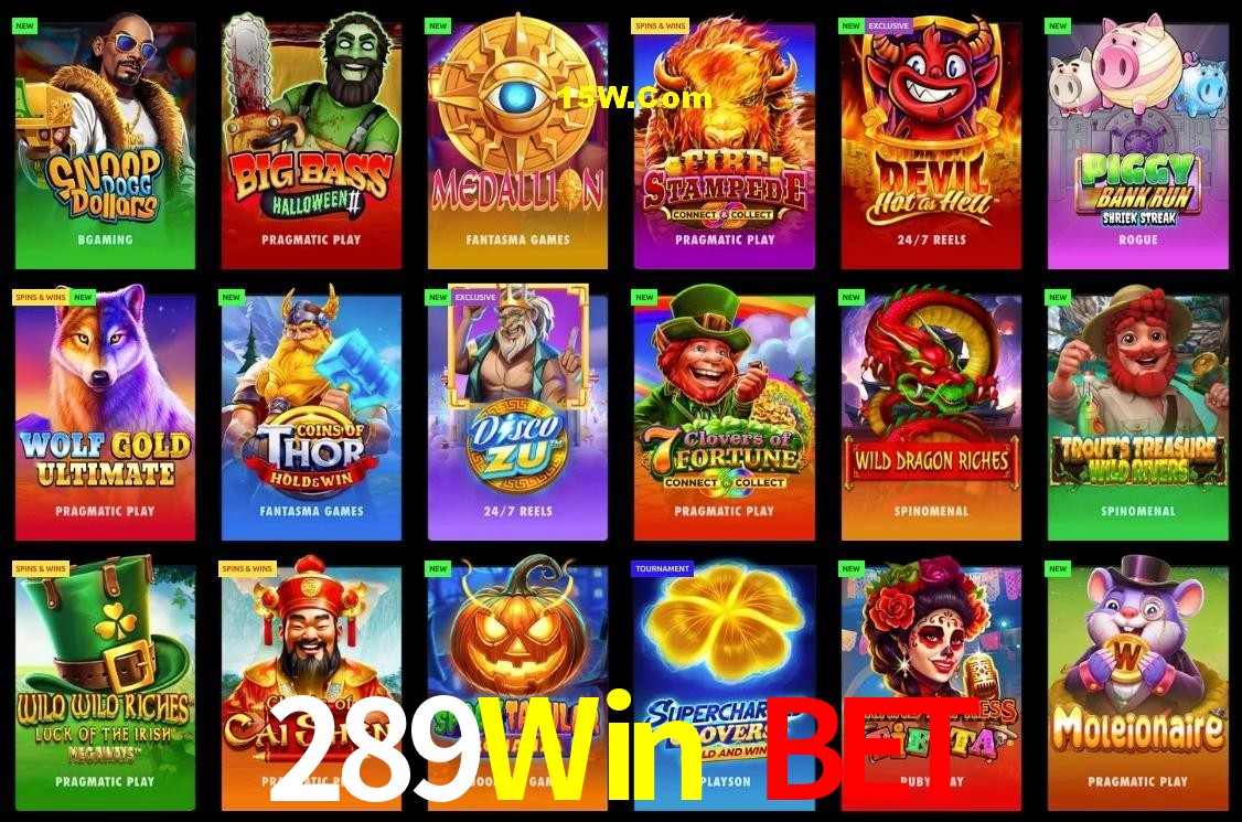 Bonus Features 289Win Bet