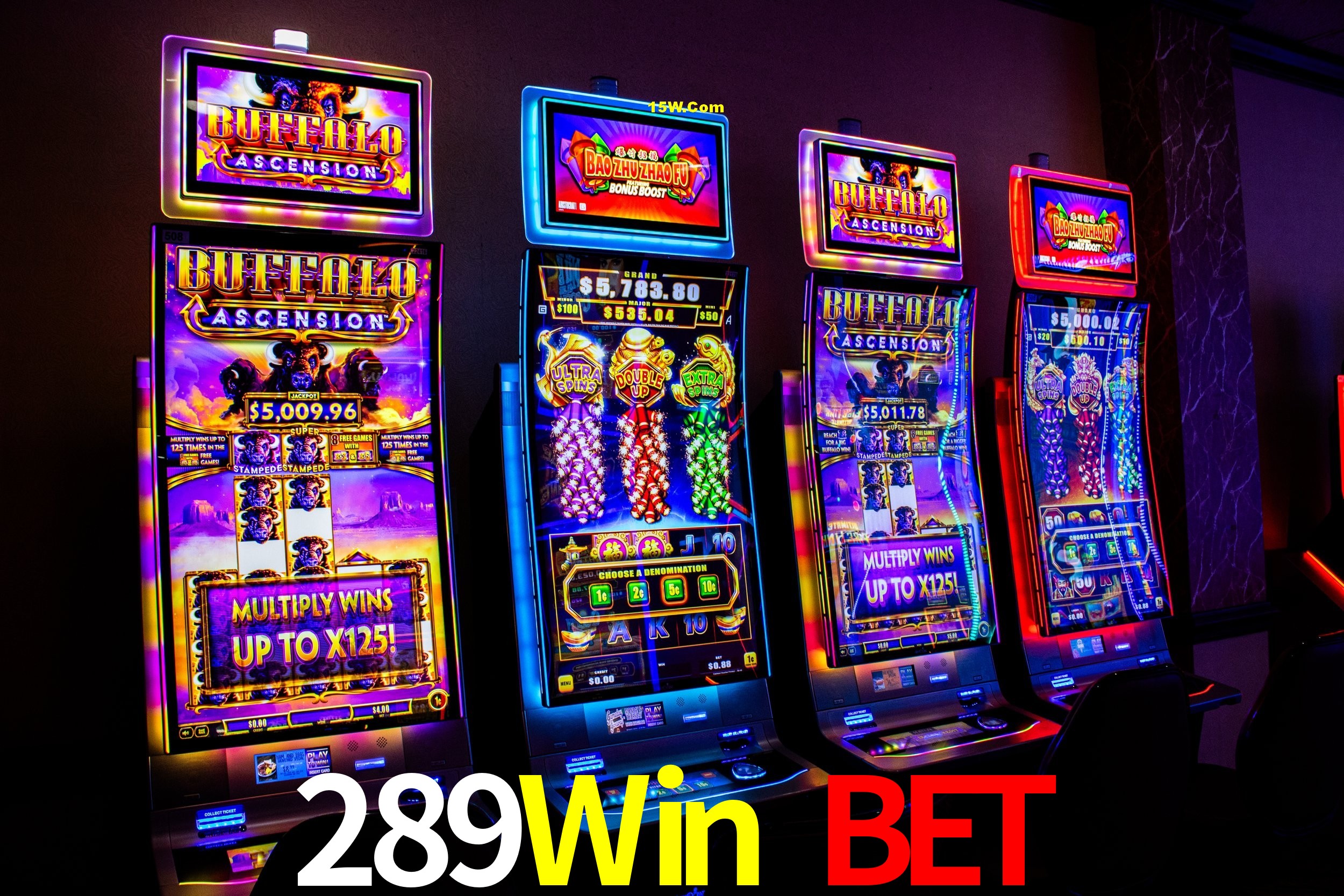 Player Reviews 289Win Bet