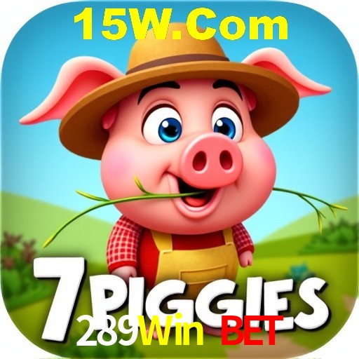 Interface Premium 289Win Bet
