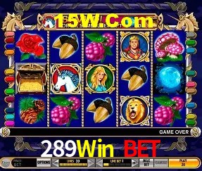 Promoções Sazonais 289Win Bet